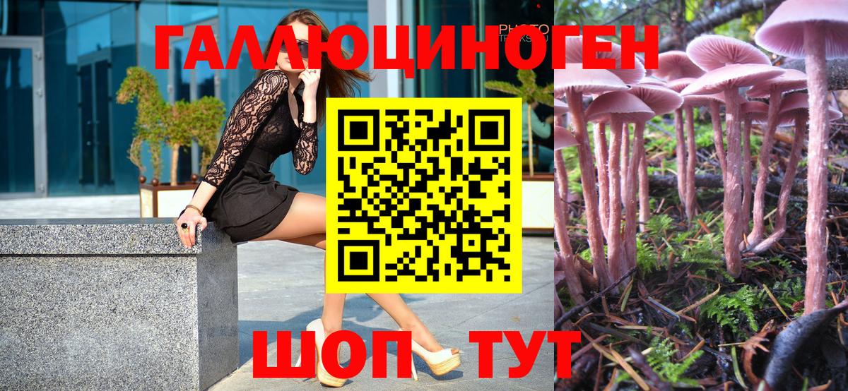 Магнитогорск  Псилоцибиновые грибы GOLDEN TEACHER  Вход с VPN 